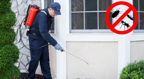 Reşadiye Kene İlaçlama böcek ilaçlama ve haşere kontrolü — ilaclama-tr.com